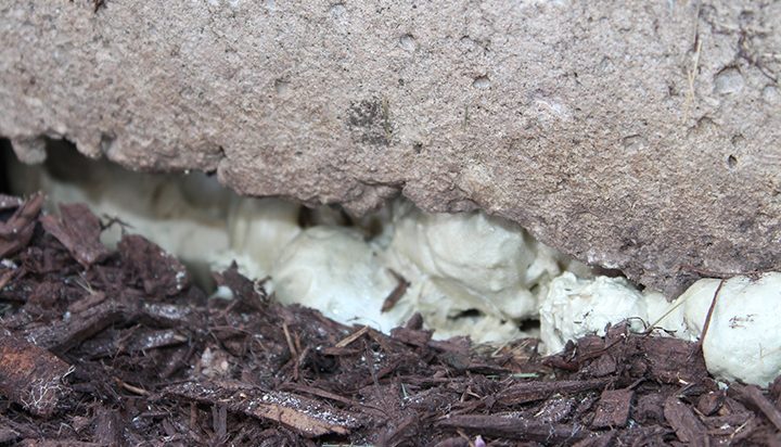 polyurethane foam