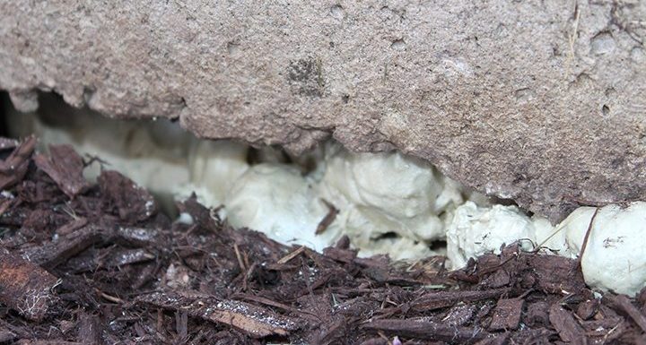 polyurethane foam